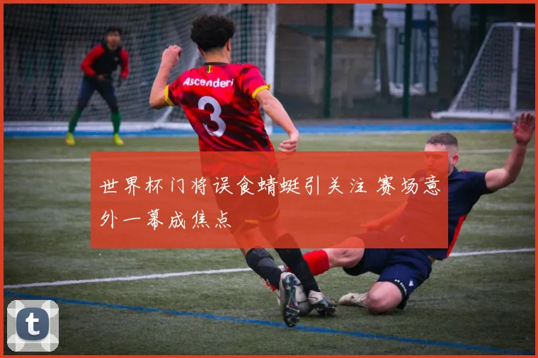 世界杯门将误食蜻蜓引关注 赛场意外一幕成焦点