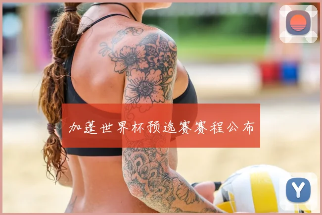 加蓬世界杯预选赛赛程公布