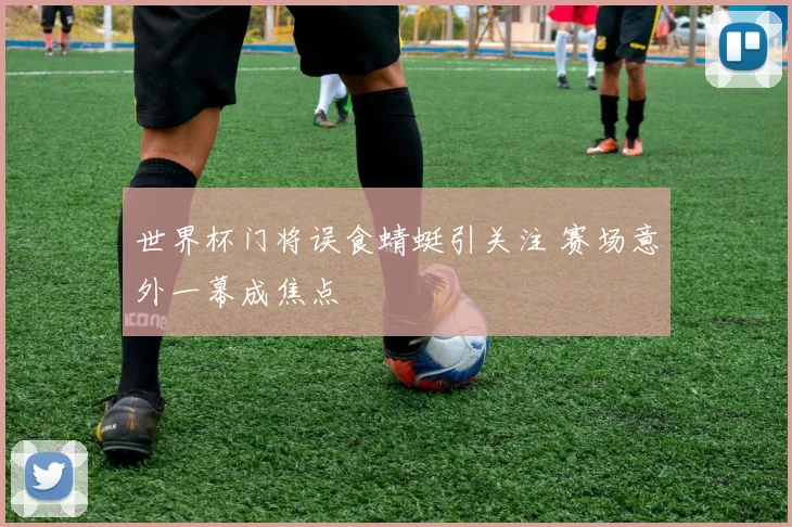 世界杯门将误食蜻蜓引关注 赛场意外一幕成焦点