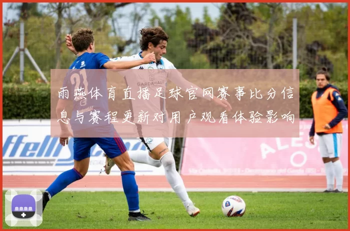 雨燕体育直播足球官网赛事比分信息与赛程更新对用户观看体验影响